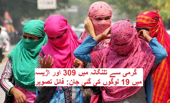 اس سال گرمی سے تلنگانہ میں 309 اور اڑیسہ میں 19 لوگوں کی گئی جان 